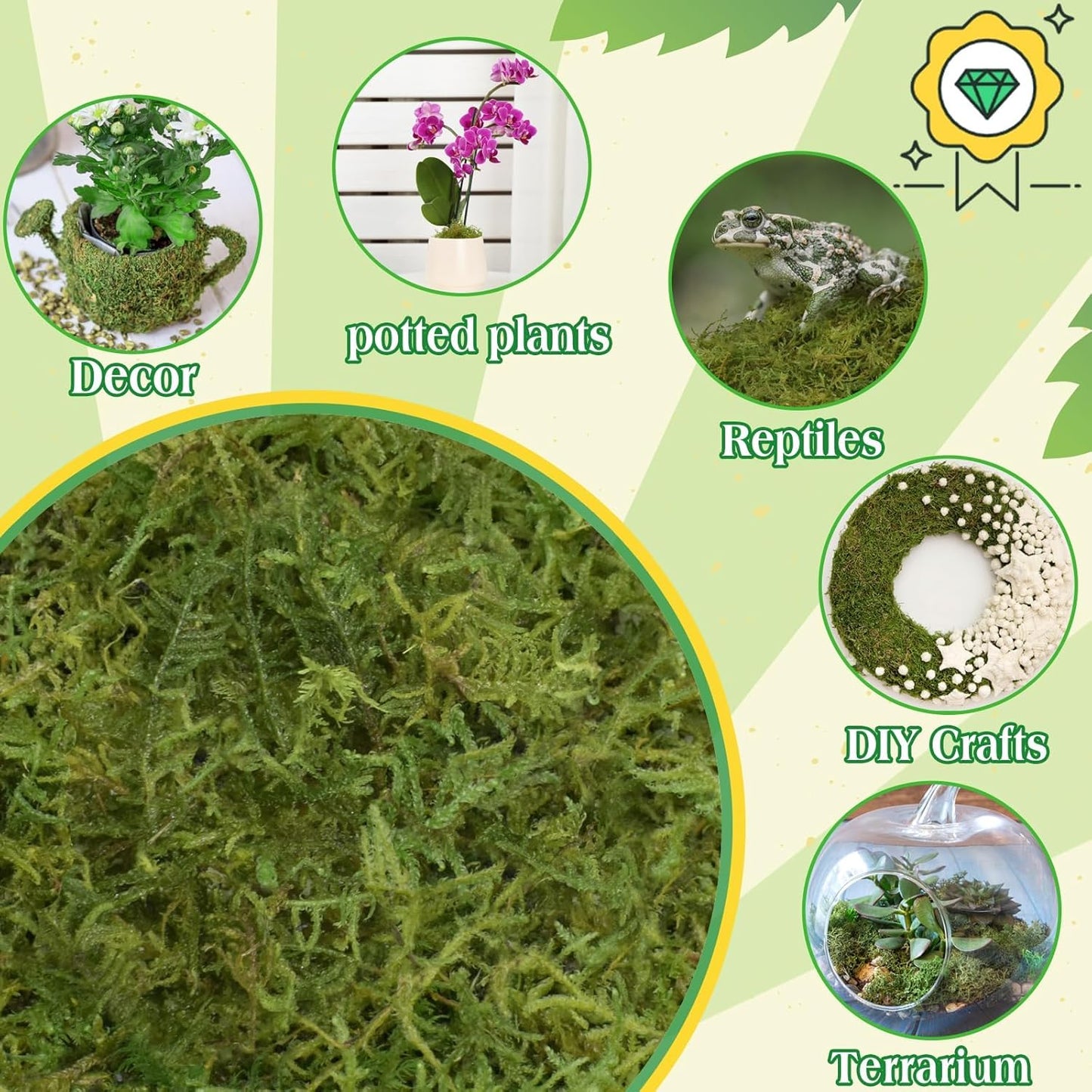 Halatool 9OZ Green Moss for Potted Plants, 12QT Orchid Moss Potting Mix, Forest Moss for Indoor Plants, Indoor Potting Plant Moss for Repotting Terrariums Garden Reptiles