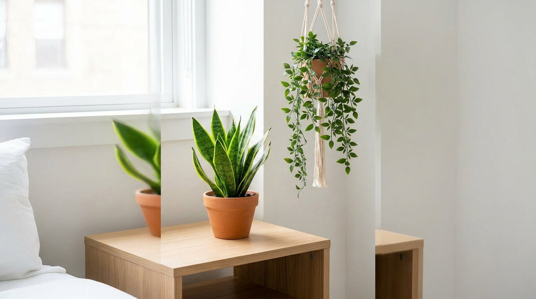 Small Space Gardening: Best Faux and Real Plant Combinations for Studios