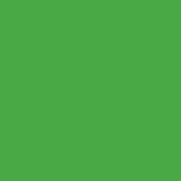 Yizhily Seamless Photography Photo Backdrop Background Paper Roll for Photoshoot 53 inches Wide x 16 feet Long, Stinger