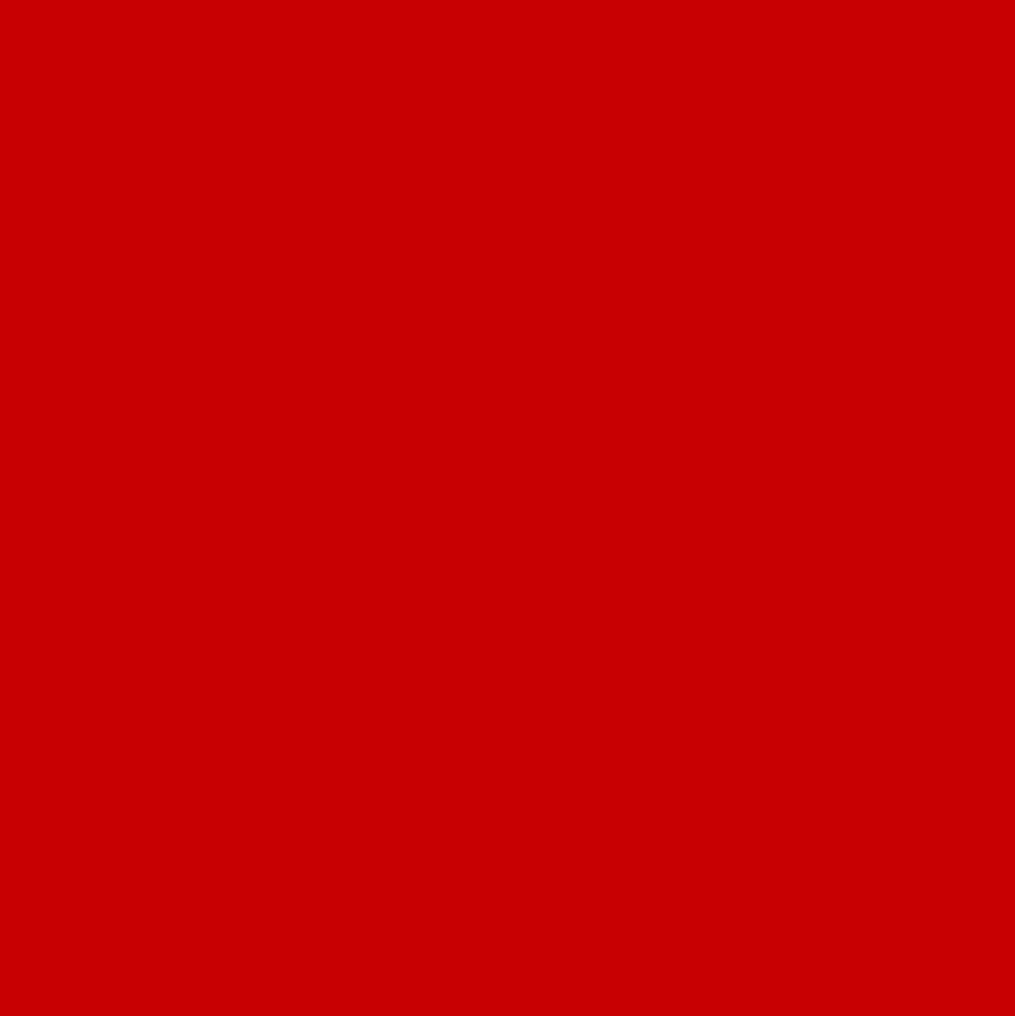 Ant Smart Adhesive Permanent Vinyl Compatible with Cricut Explore and Maker Series Without Cutting Mats, Create DIY Projects, Decals, Stickers & More (Red, 13inchx10ft)