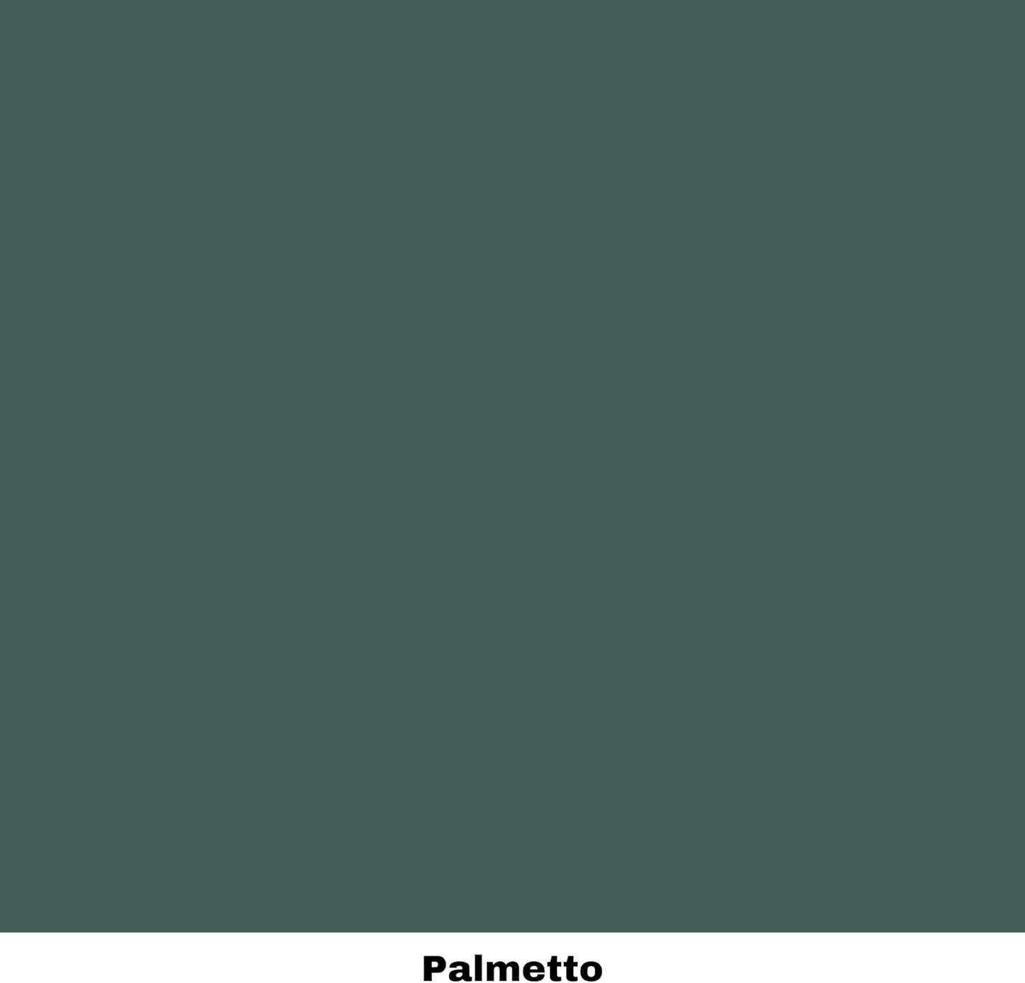 Dixie Belle Paint Company Chalk Finish Furniture Paint - Palmetto (16oz) - Matte Rich Green Chic Chalk Mineral DIY Furniture Paint