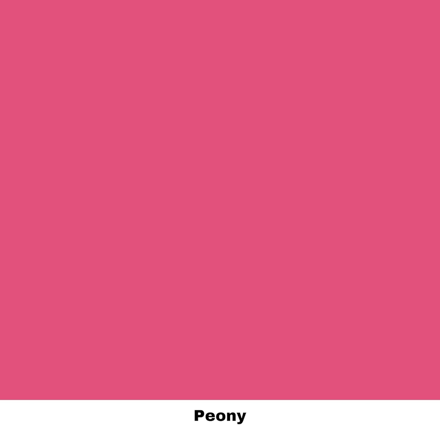 Dixie Belle Paint Company Chalk Finish Furniture Paint - Peony (1 Gallon - 128oz) - Matte Hot Pink Chic Chalk Mineral Furniture Paint - DIY + Home Projects