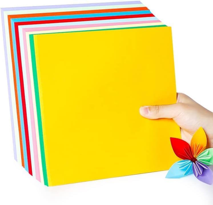 2 Pack 10 Colors Origami Paper Double Sided Color 100 Sheets Square Easy Fold Paper for Beginner (Centimeters, 25x25)