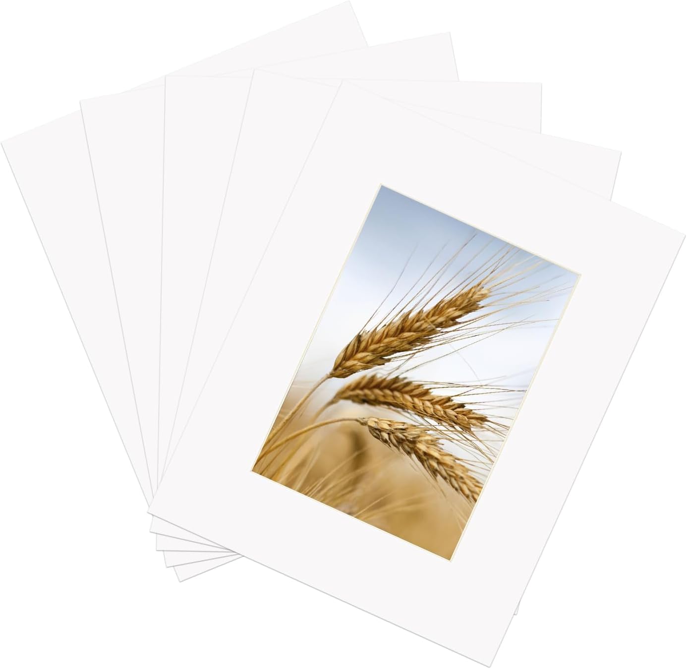 ZBEIVAN 8x10 White Picture Mats with Core Bevel Cut Frame Mattes for 5x7 Pictures - Pack of 5