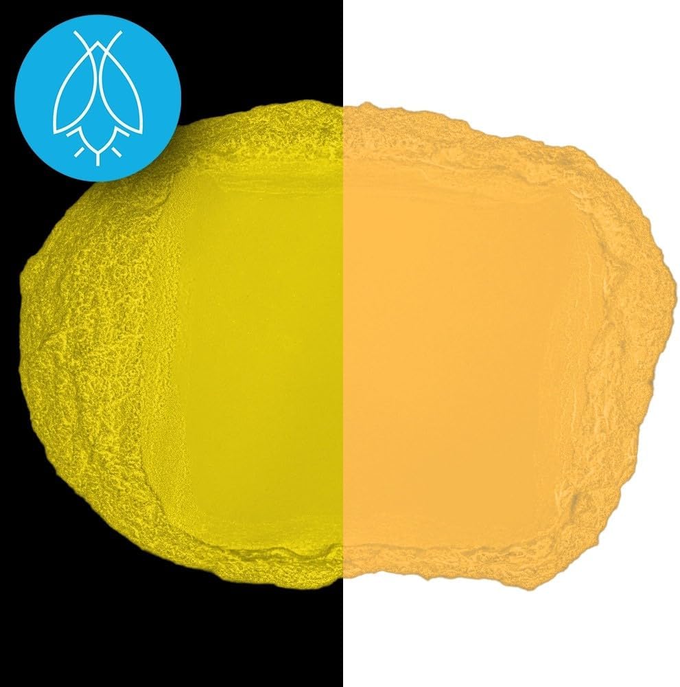 Glow in The Dark Pigment Powder - Neutral and Fluorescent Color for Art Painting, Fine Art, Nail Art Paint, and DIY Crafts - Long Lasting, 10+ Color Options - Fluorescent Orange - (12 Grams/ .42oz)
