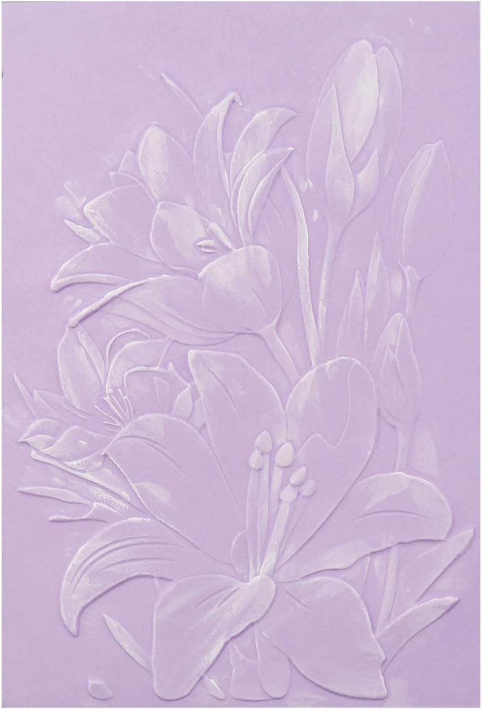 BAOFALI 3D Embossing Folder for Card Making,Lily Flowers Clear Plastic Texture Fades Embossing Folder Template for Scrapbooking and Other Paper Craft Album Stamps DIY Decoration 6.3" L x 4.5" W