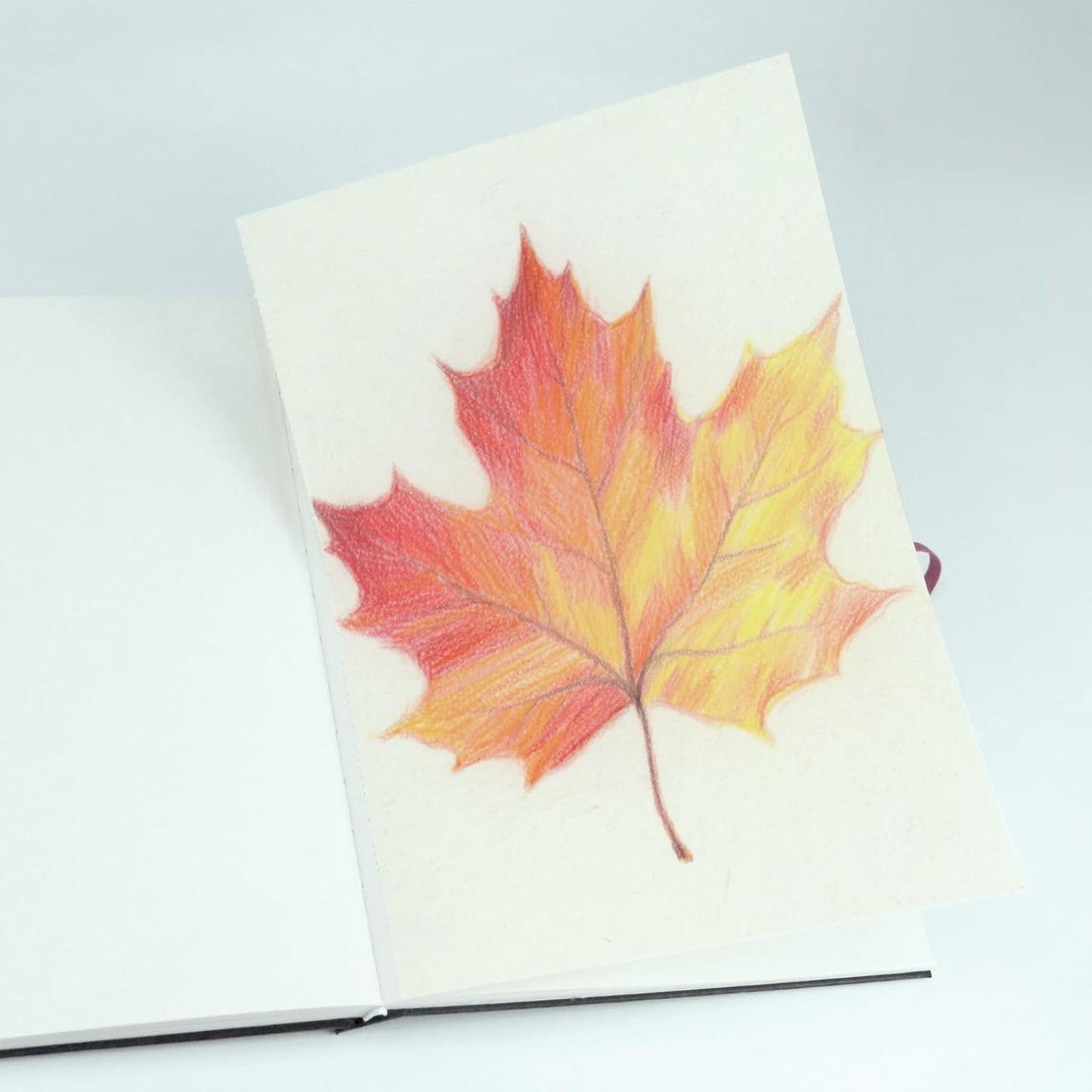 CuppaClip Sketch Book Hardcover Drawing Pad 300GSM Acid-Free Paper Spiral Bound Sketchbook 50 Sheets/100 Pages Art Supplies (Hardcover, 4x5.9in)