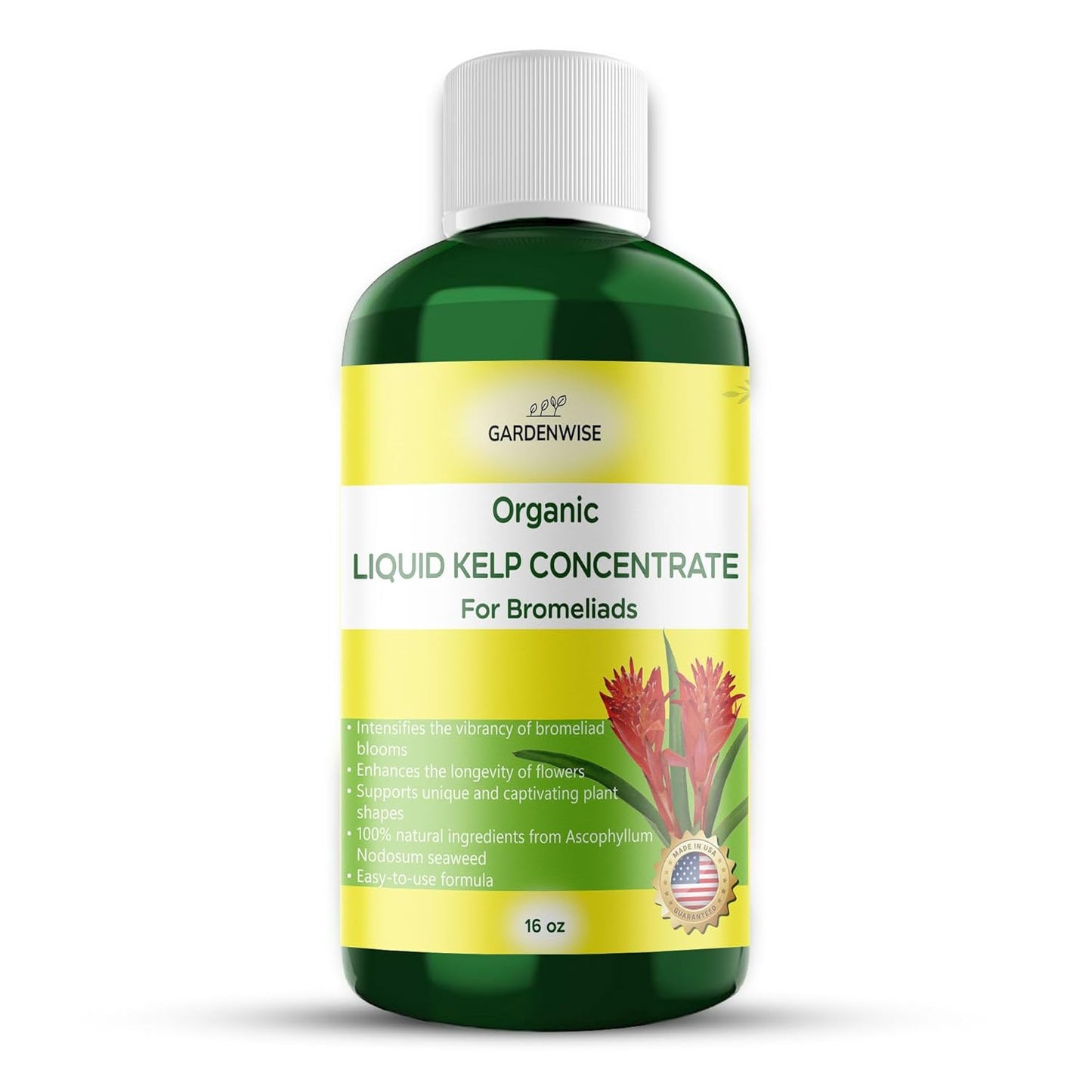 Organic Premium Kelp Seaweed Fertilizer - Bromeliad Fertilizer - Liquid Plant Food, Bromeliad Potting Mix Enhancer - Ideal for Bromeliad Plant & Live Plant Care (16 OZ)