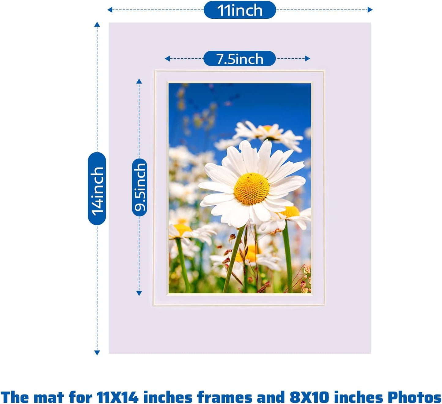 HOTUO 10 Pack Acid Free White Picture Frame Mats, Pre-Cut 11x14 Picture Mats with Ivory Core Bevel Cut for 8x10 Photo, Signature Friendly 4 Ply Thickness Photo Mat for Frames (White with V-Groove)