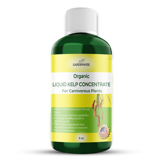 Organic Premium Kelp Seaweed Fertilizer: Indoor Plant Fertilizer & Carnivorous Plant Food for Venus Flytraps, Sundews, Drosera Capensis,Pitcher Plants,Butterworts & Other (8 OZ)