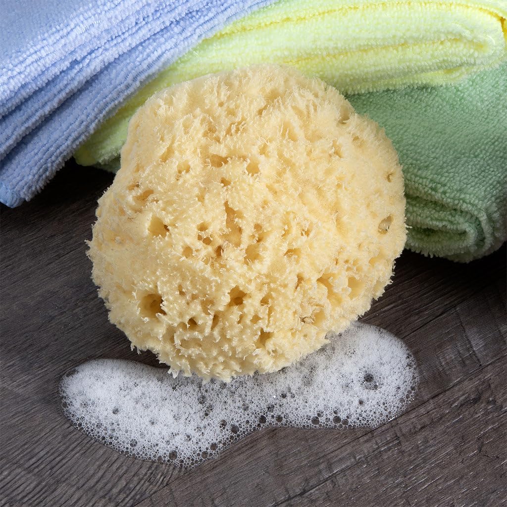 Sea Wool Sponge - All Natural Honeycomb Renewable Sea Sponge, Medium, Approx. 4 Inches