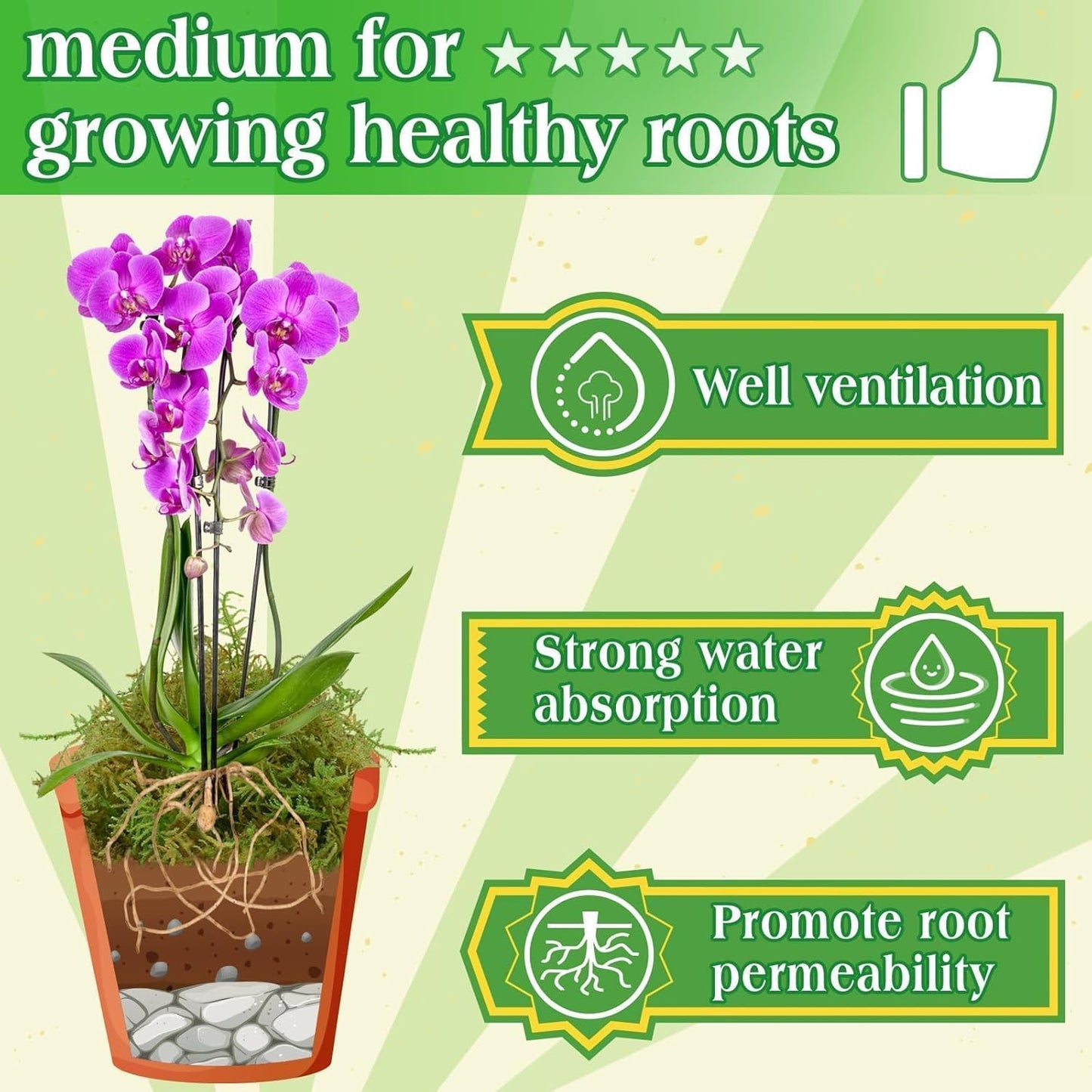 Halatool 6OZ Green Moss for Indoor Plants, 8QT Orchid Moss for Repotting, Forest Moss for Potted Plants, Real Moss for Succulent Carnivorous Houseplant Terrariums Garden Reptiles