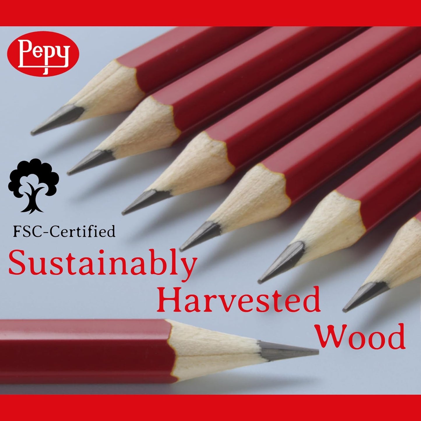 Pepy Graphite Professional Drawing Pencils - Set of 12 F Pre-Sharpened Black Lead Pencils; Perfect for Drawing, Sketching and Shading, Graphic and Fine Art