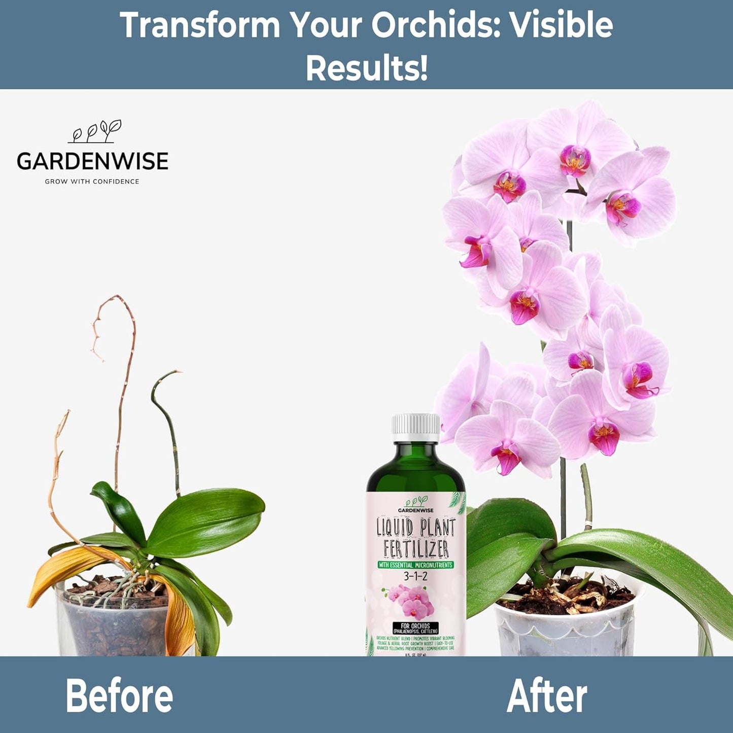Liquid Orchid Fertilizer Concentrate 3-1-2 with Micronutrients Orchid Care Made Easy (8 OZ)