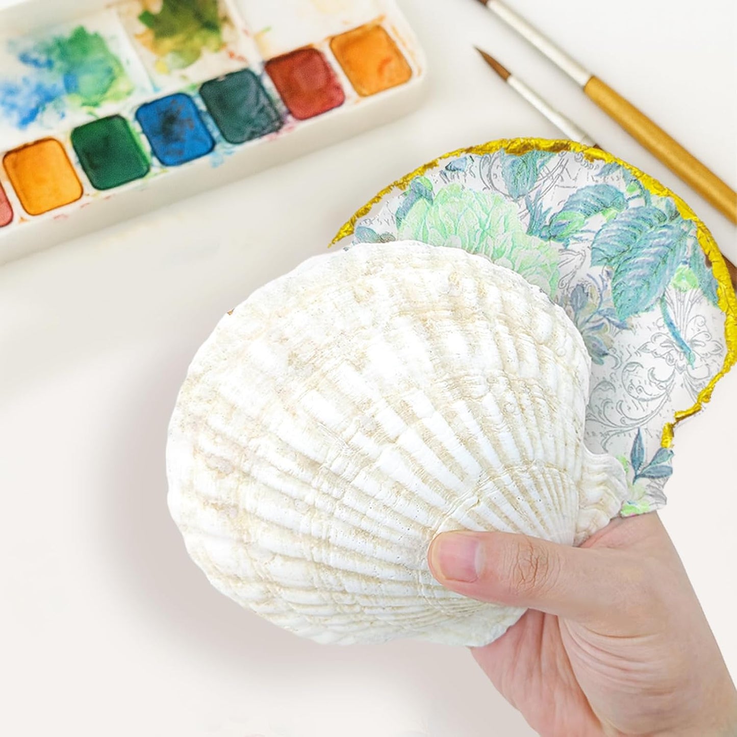 YOUKE OLA 72PCS Scallop Shells for Crafts Large Beach Natural Shells Bulk for Decoupage DIY Crafts Seashell Decorations Home Decor White 4''-4.5''