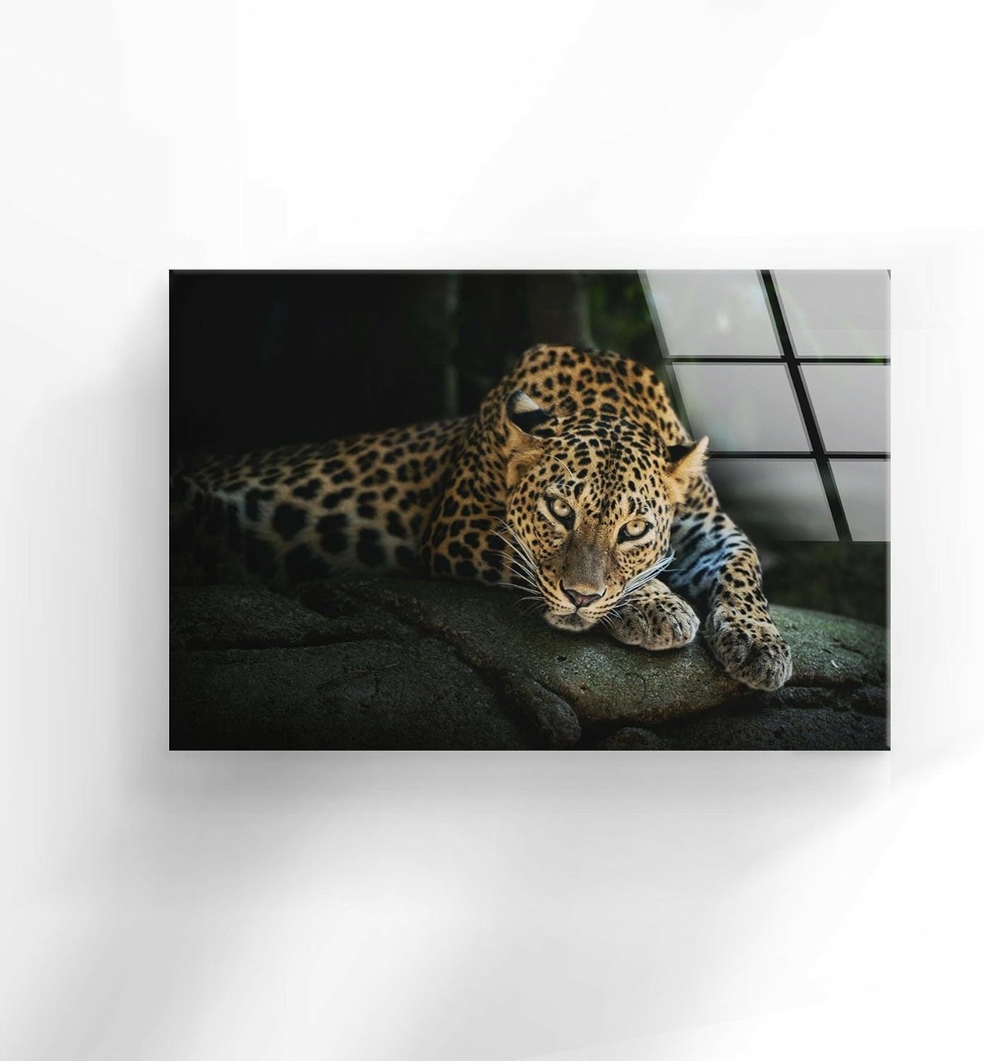 My Photostation.com 43Wx27H'' Fierce Leopard Glass Wall ArtTempered Glass Printing Wall Decor Large Wall Art Wall Hangings