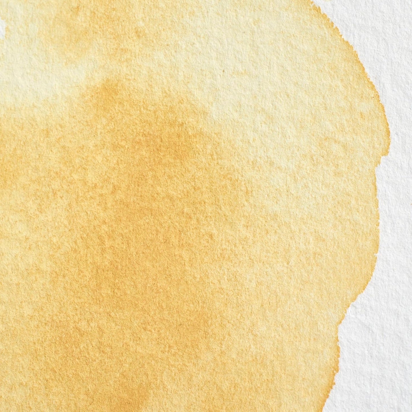 Winsor & Newton Professional Water Colour Paint, Half Pan, Naples Yellow