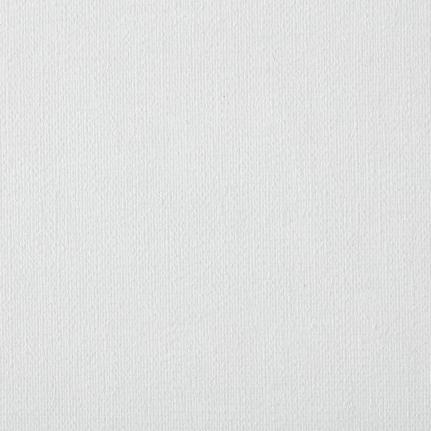 Centurion Deluxe Professional Oil Primed Linen Stretched Canvas, 11oz Linen, 11x14 - Box of 6, 0.67" Deep Canvases, Kiln-Dried Stretchers, Back Stapled, Premium Medium Weight Canvas for Oil Paintings