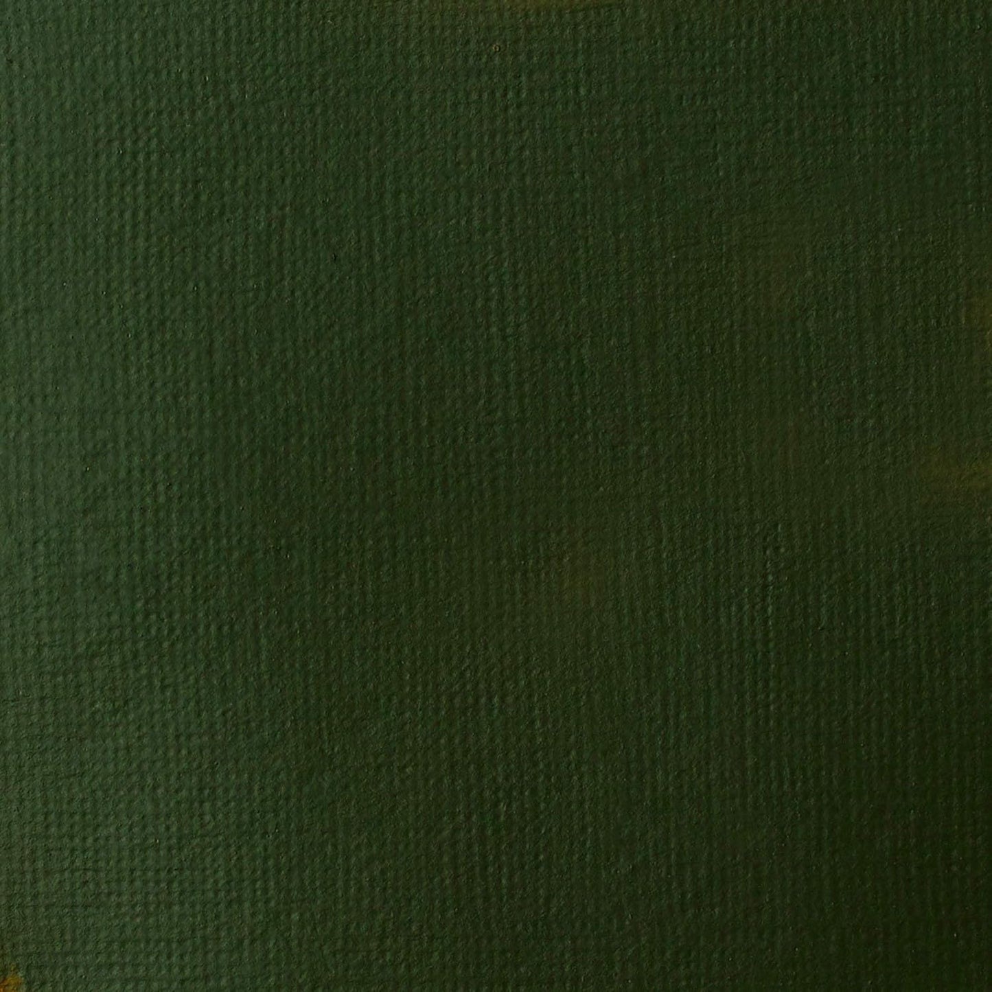 Liquitex BASICS Acrylic Paint, 250ml (8.5-oz) Tube, Hooker’s Green Hue Permanent
