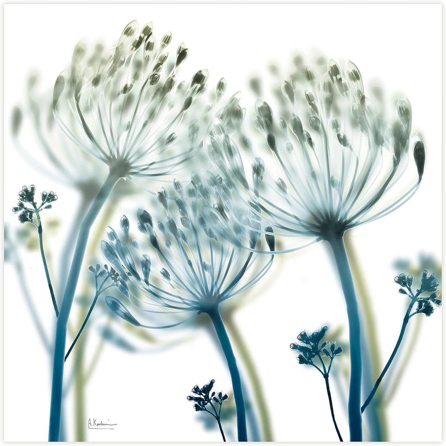Empire Art Direct Frameless Free Floating Tempered Glass Panel Graphic Wall Art Ready to Hang, 24" x 24", Unfocused Beauty 2
