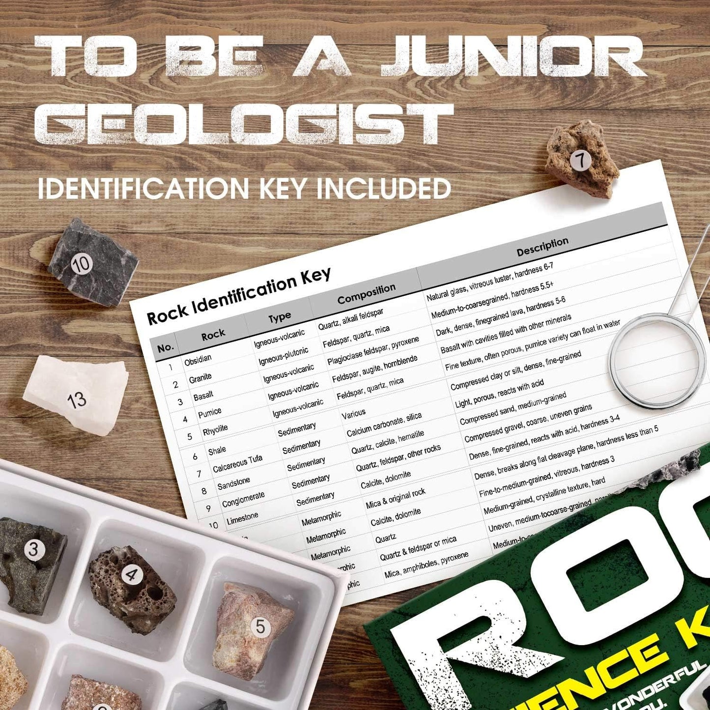 XXTOYS Rock & Stone Collection 15 PCS with Collector Box, STEM Toy Science Kit Geology Mineral Specimens Gift Presents for Kid Geologists
