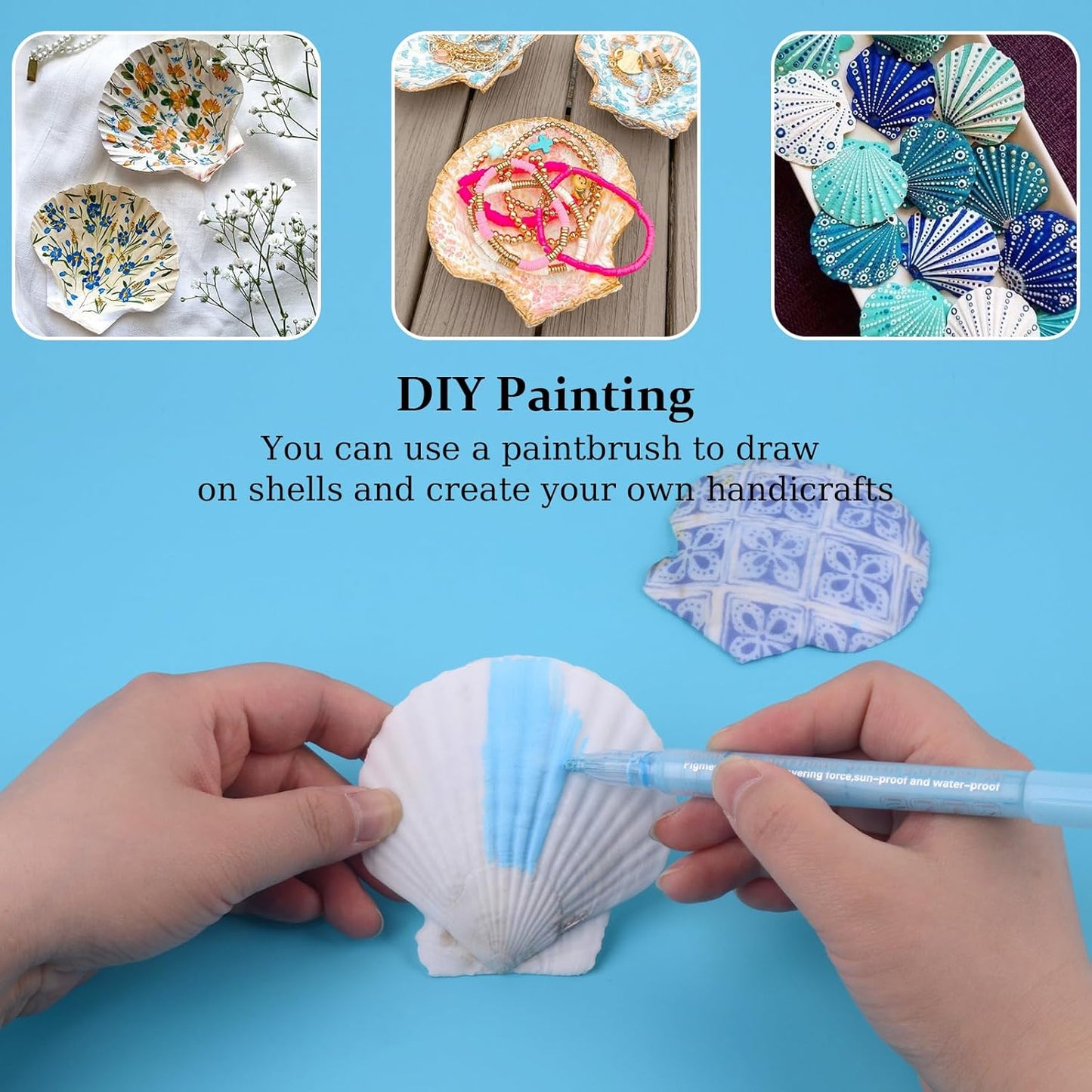 30PCS Scallop Shells for Crafts 2''-3'' Natural White Large Shells Decoration for DIY Craft Painting, Home Decor, Baking and Beach, Wedding Party Decoration