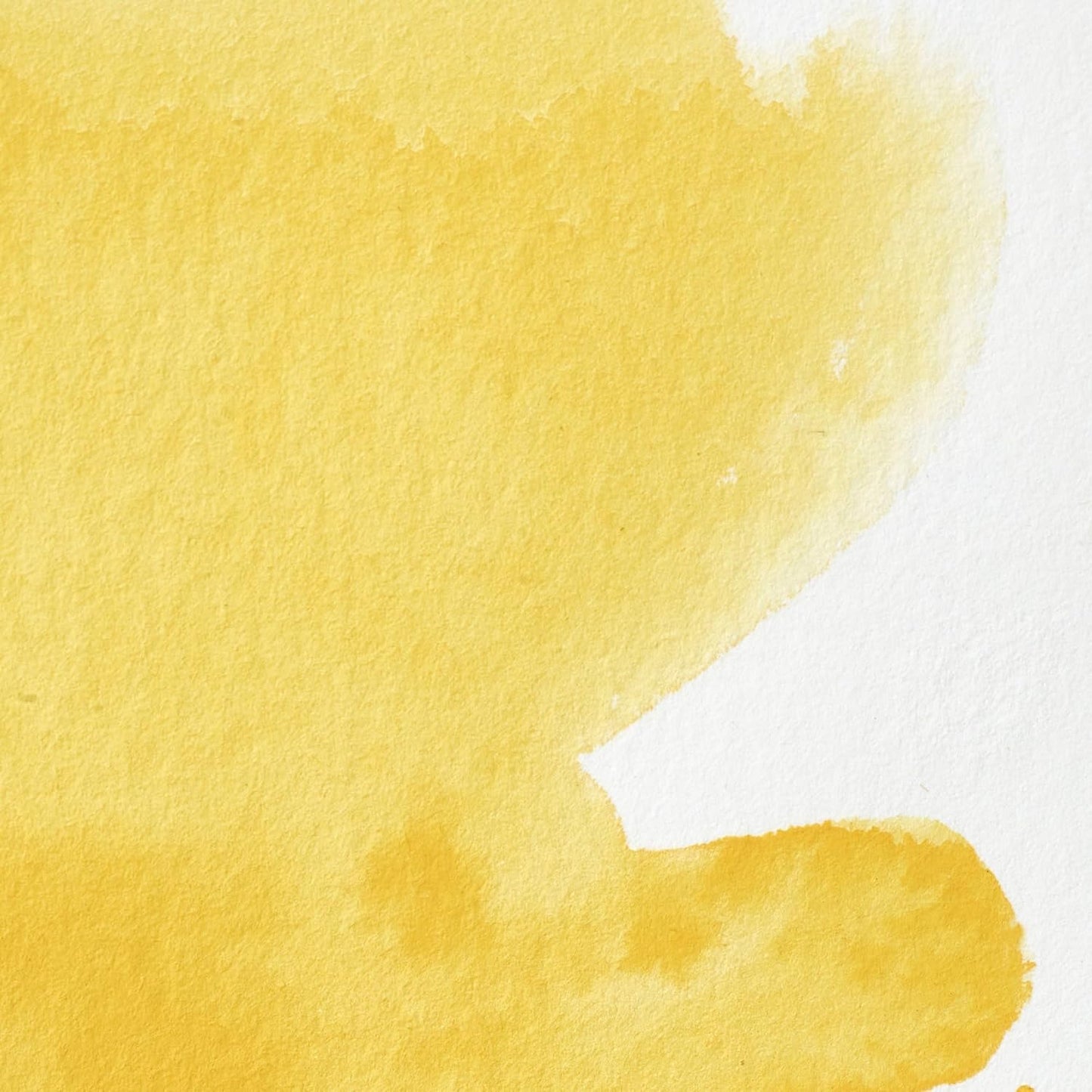 Winsor & Newton Professional Water Colour Paint, Half Pan, Cadmium-Free Yellow Pale