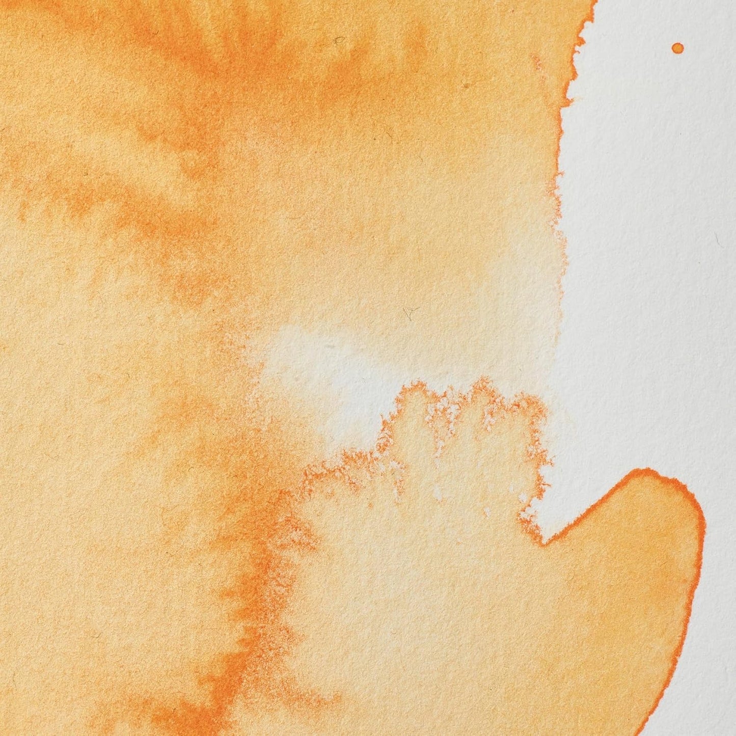 Winsor & Newton Professional Watercolor, 5ml (0.17-oz) Tube, Cadmium Orange