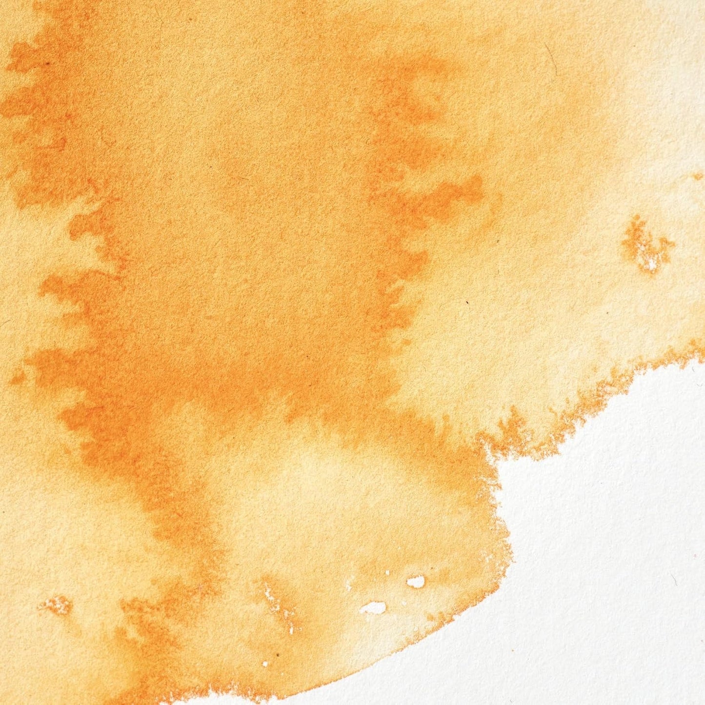 Winsor & Newton Professional Water Colour Paint, Half Pan, Winsor Orange