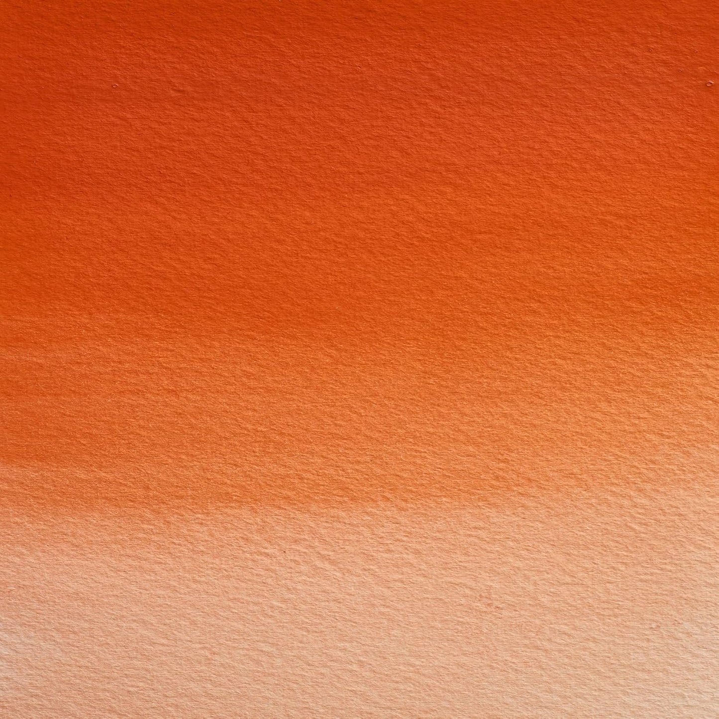 Winsor & Newton Professional Watercolour, Revival Collection, Half Pan, Field's Orange