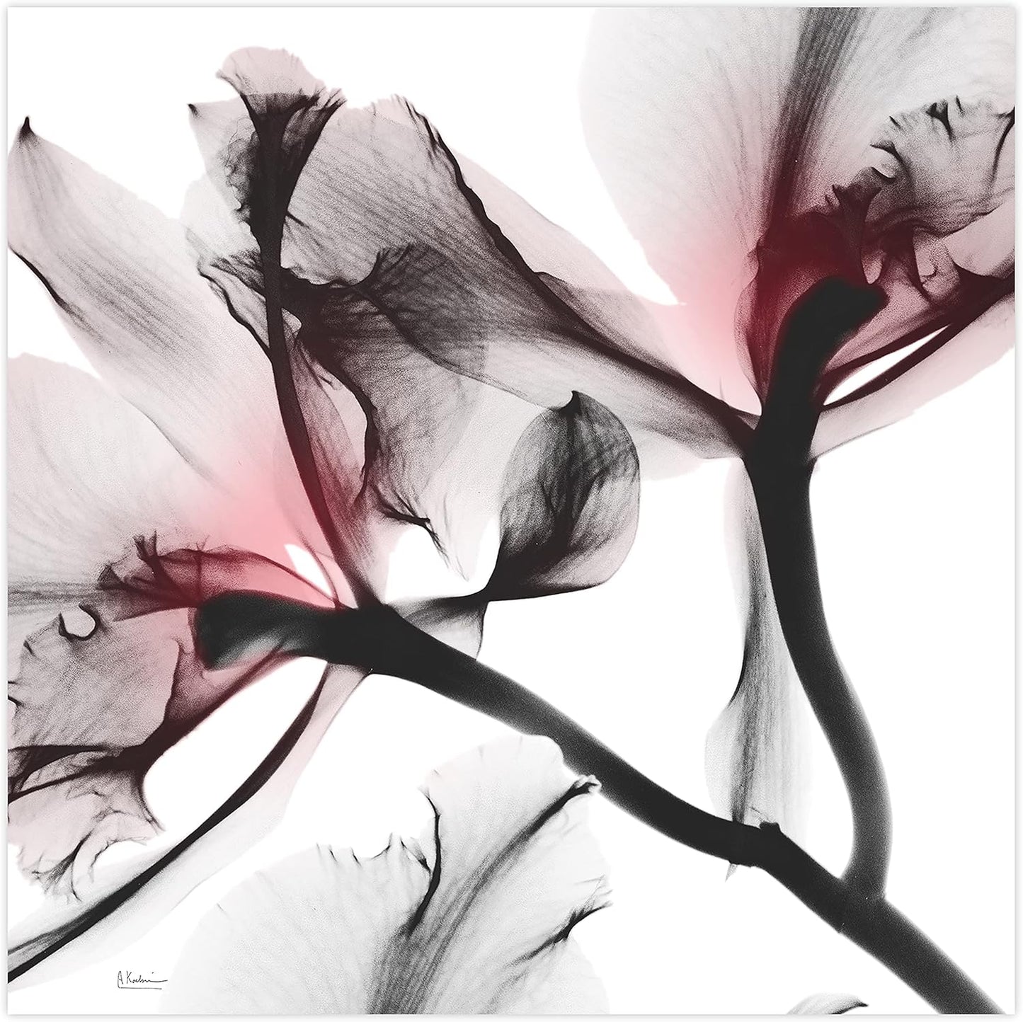 Empire Art Direct Frameless Free Floating Tempered Glass Panel Graphic Wall Art Ready to Hang, 24" x 24", Coral Luster