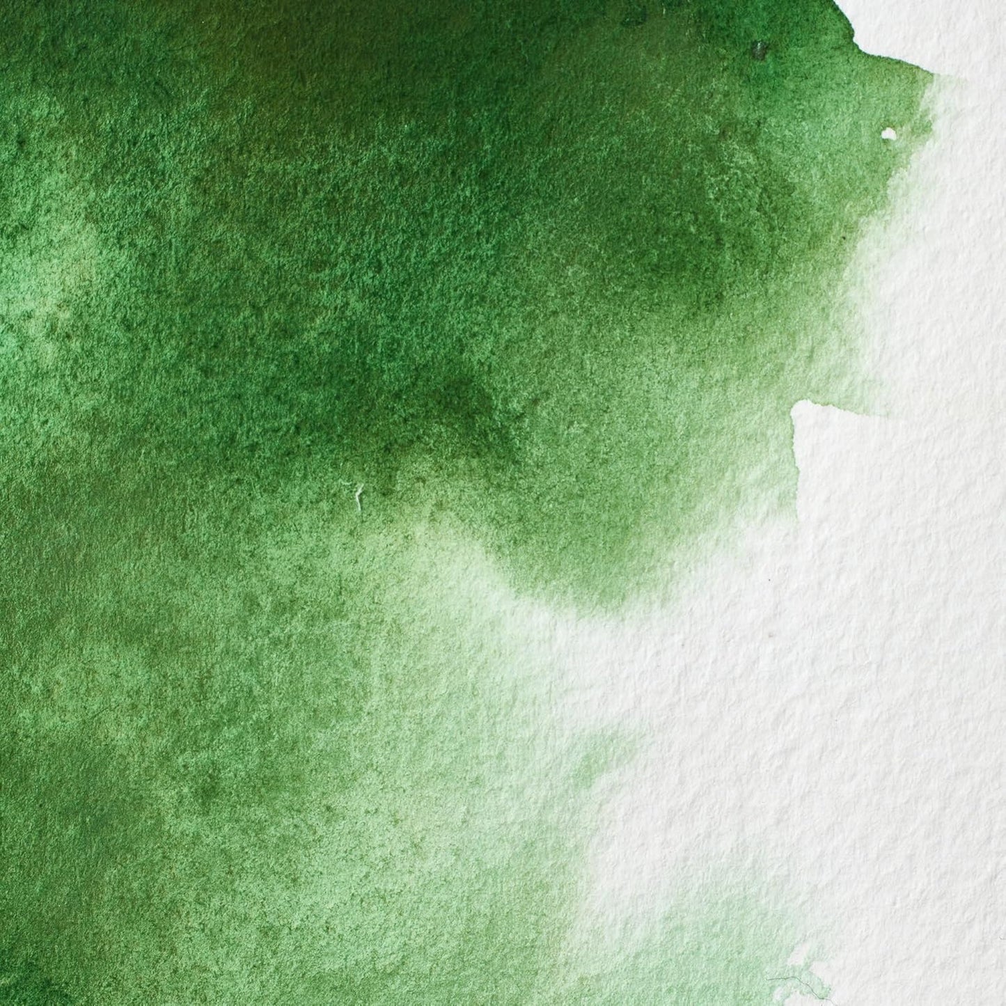 Winsor & Newton Professional Water Colour Paint, 0.47-oz Tube, Hooker's Green